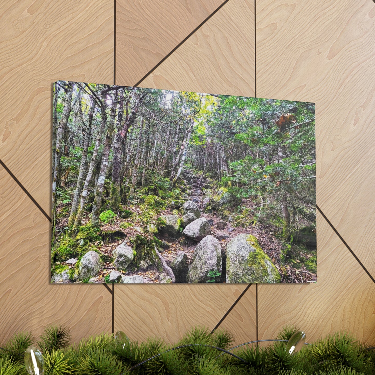 Kinsman Ridge Trail Canvas Art Print