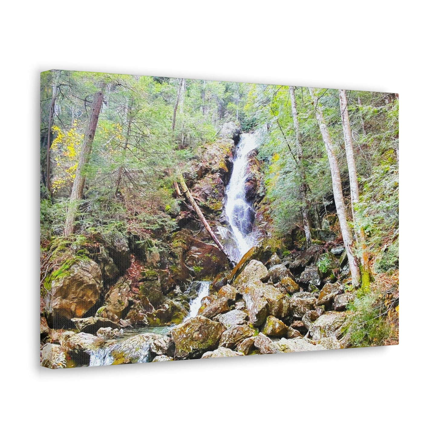 Race Brook Falls Canvas Art Print