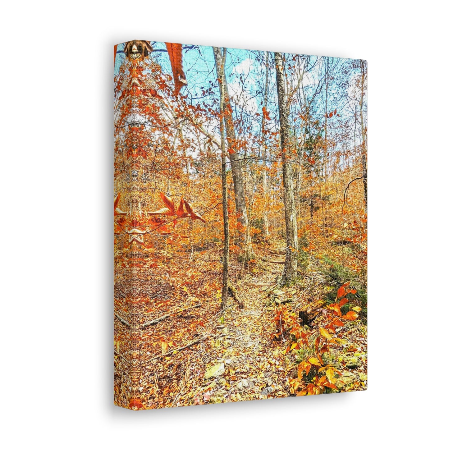 Appalachian Trail Fall Canvas Art Print