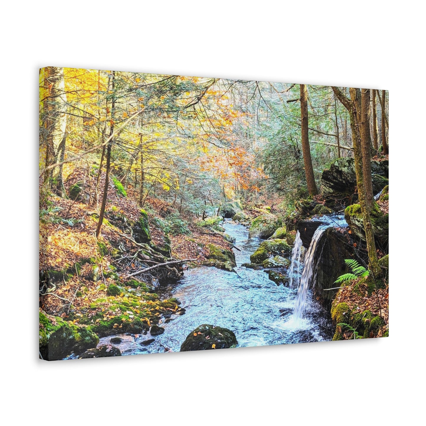 Sage's Ravine Canvas Art Print