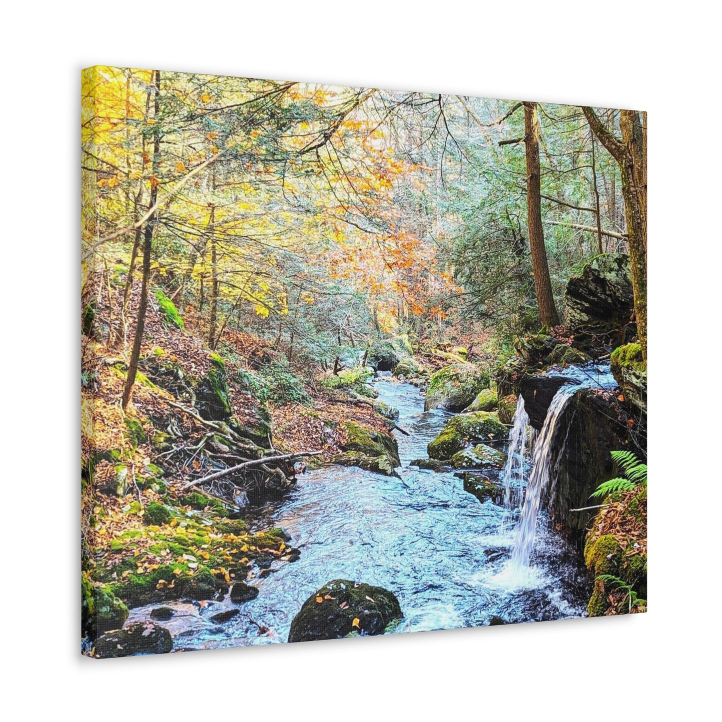 Sage's Ravine Canvas Art Print