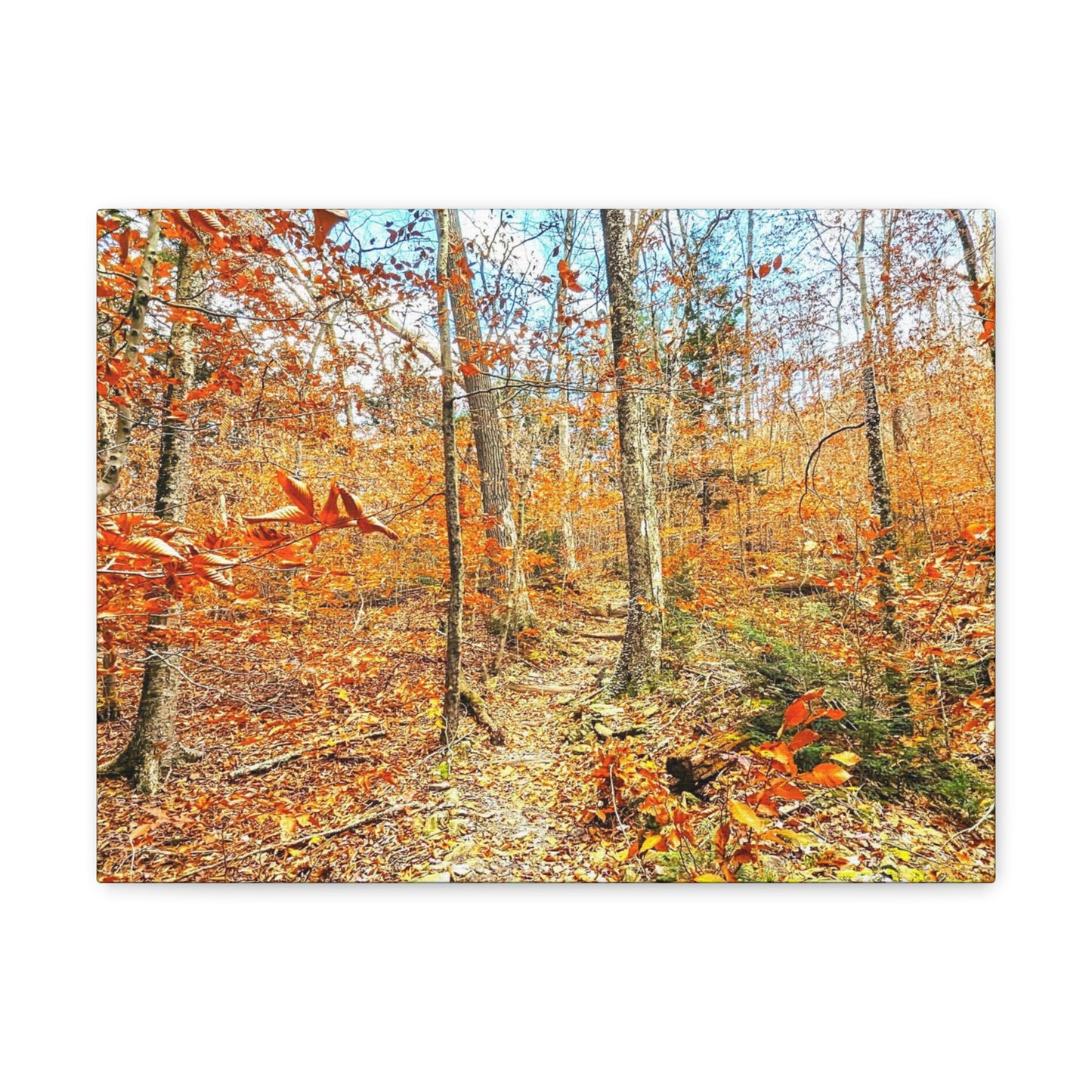 Appalachian Trail Fall Canvas Art Print