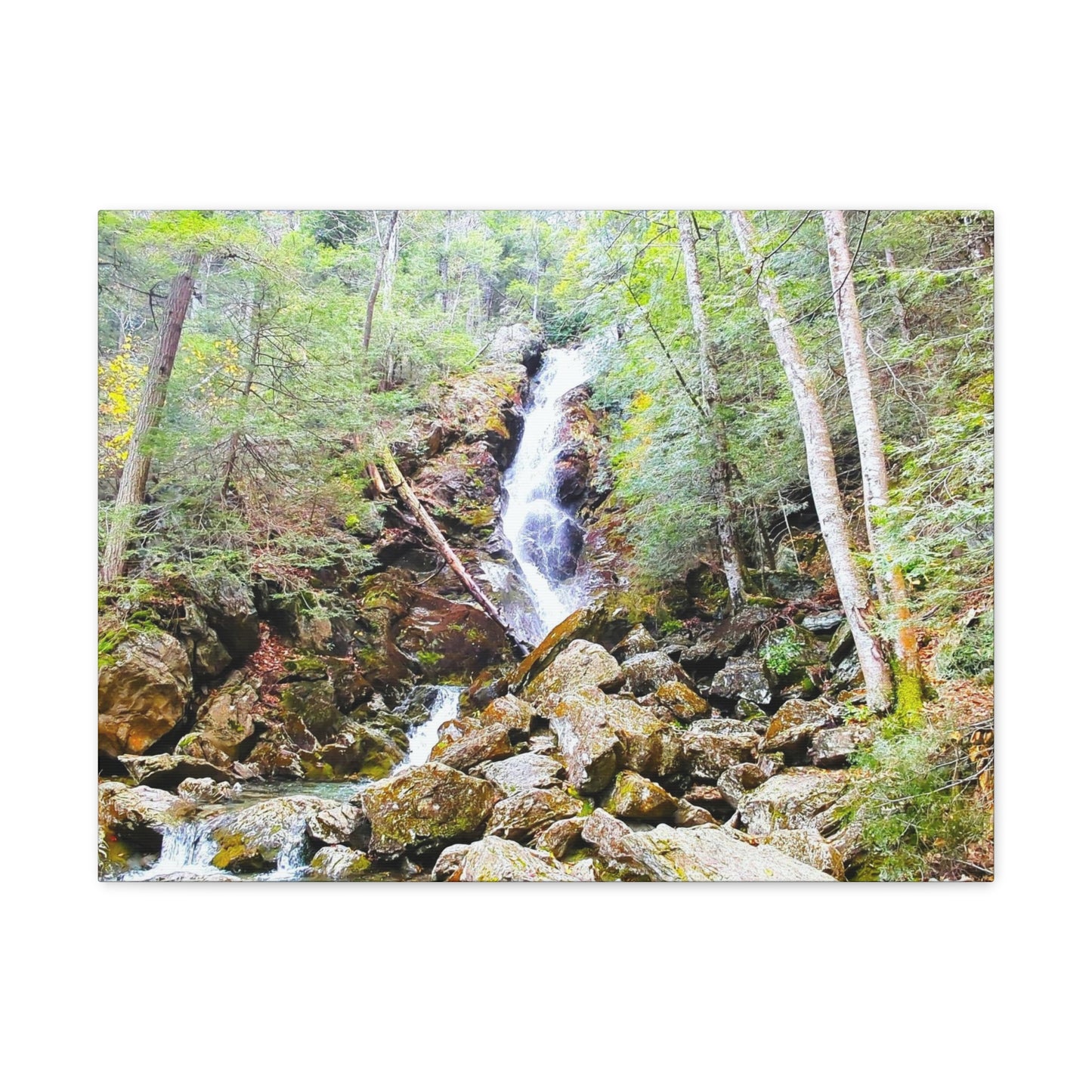 Race Brook Falls Canvas Art Print