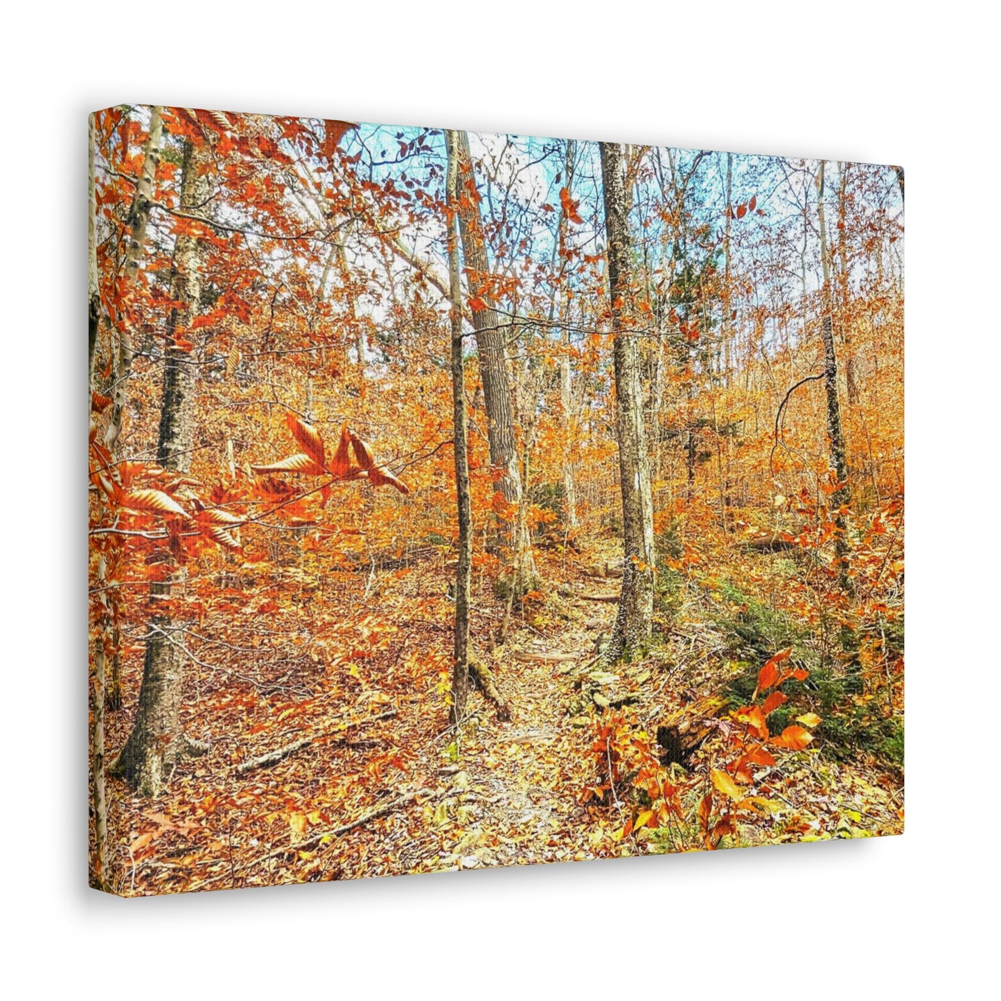 Appalachian Trail Fall Canvas Art Print