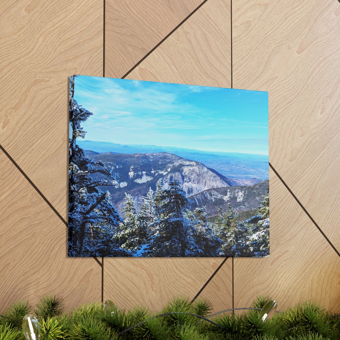 Alpine Zone- Canvas Art Print