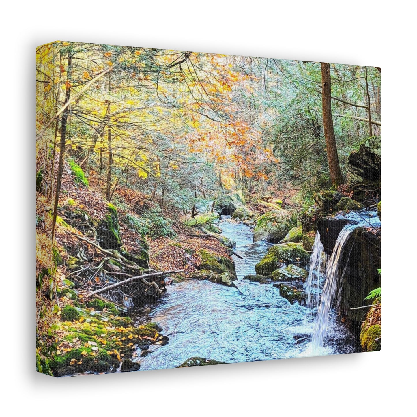 Sage's Ravine Canvas Art Print