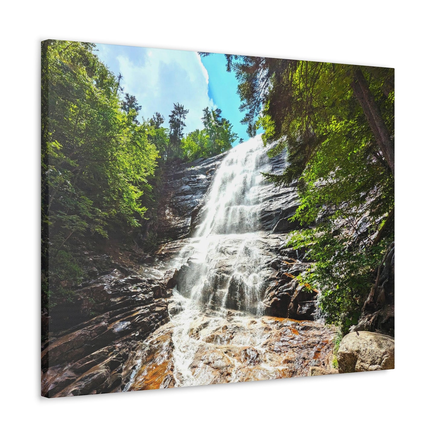 Arethusa Falls Canvas Art Print