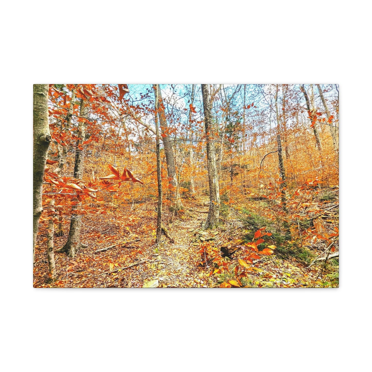 Appalachian Trail Fall Canvas Art Print