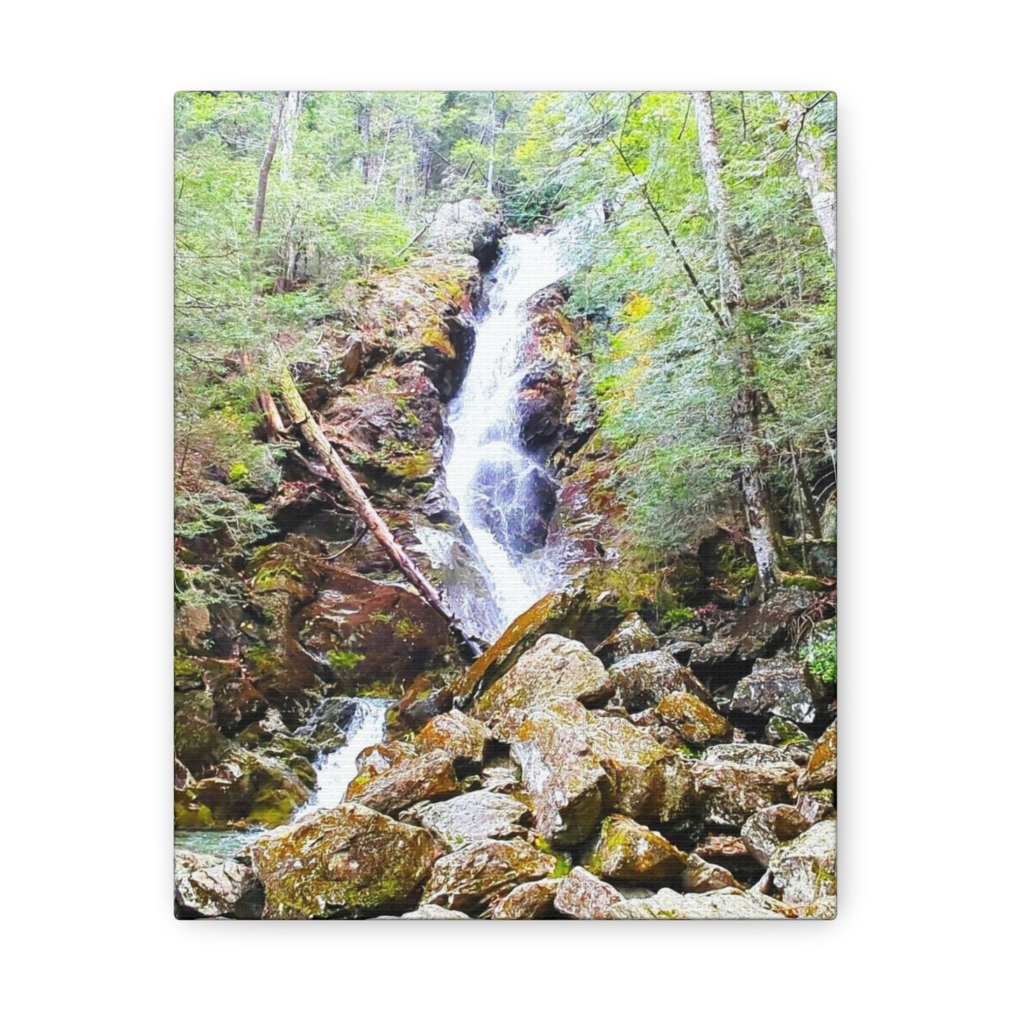 Race Brook Falls Canvas Art Print