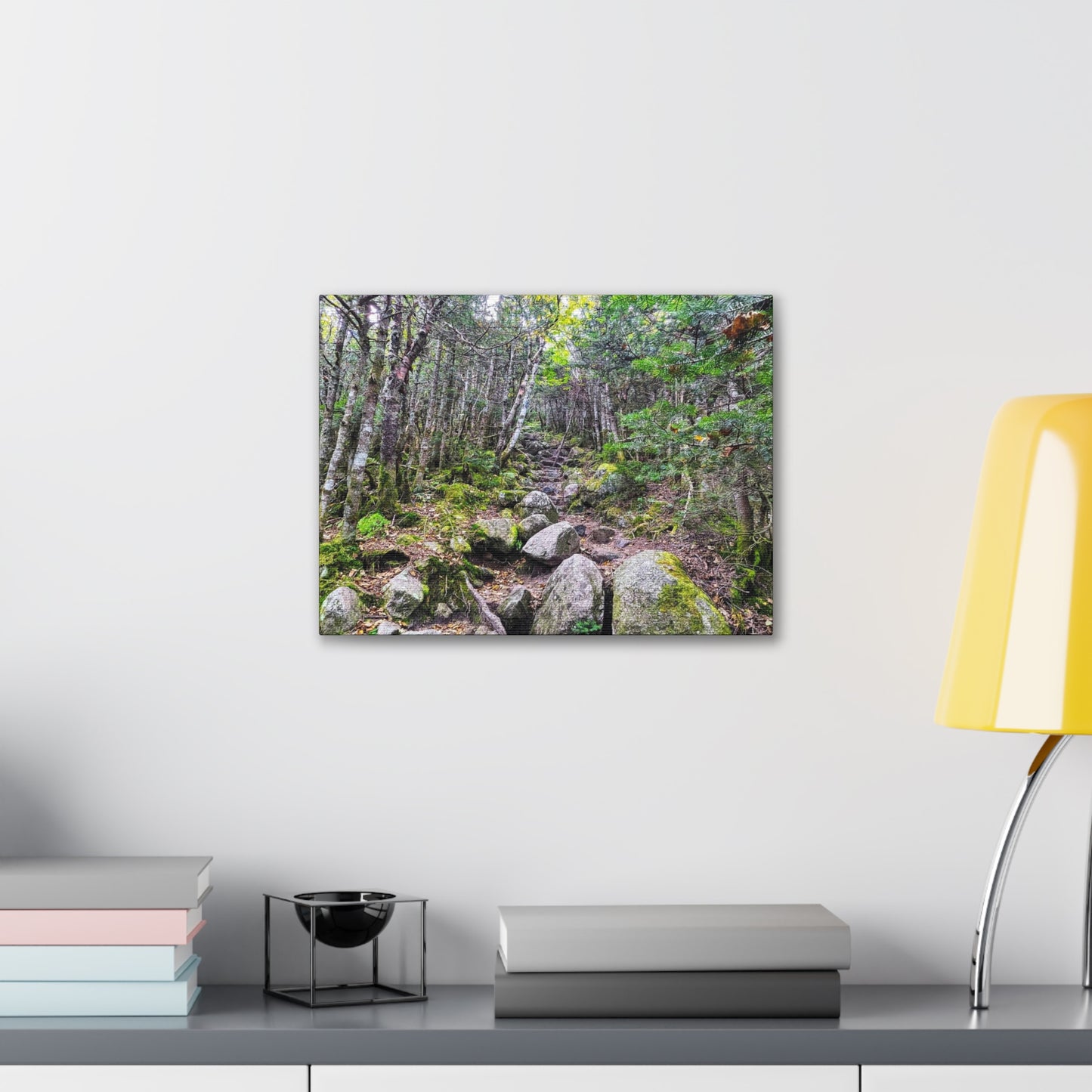 Kinsman Ridge Trail Canvas Art Print