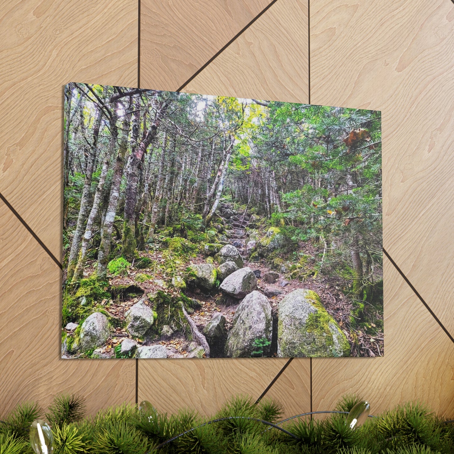 Kinsman Ridge Trail Canvas Art Print