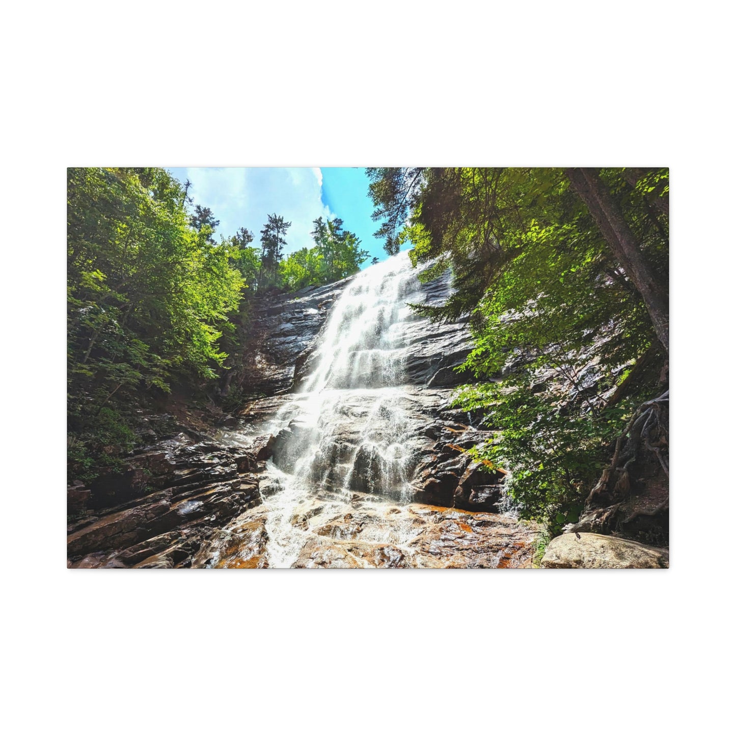 Arethusa Falls Canvas Art Print