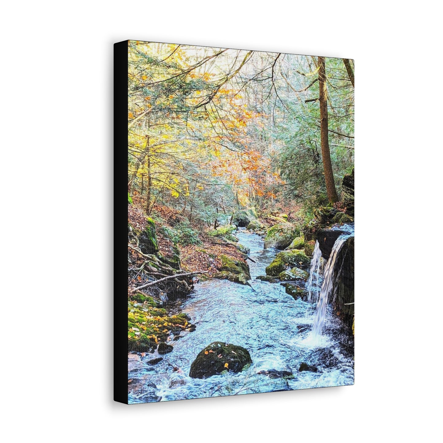 Sage's Ravine Canvas Art Print