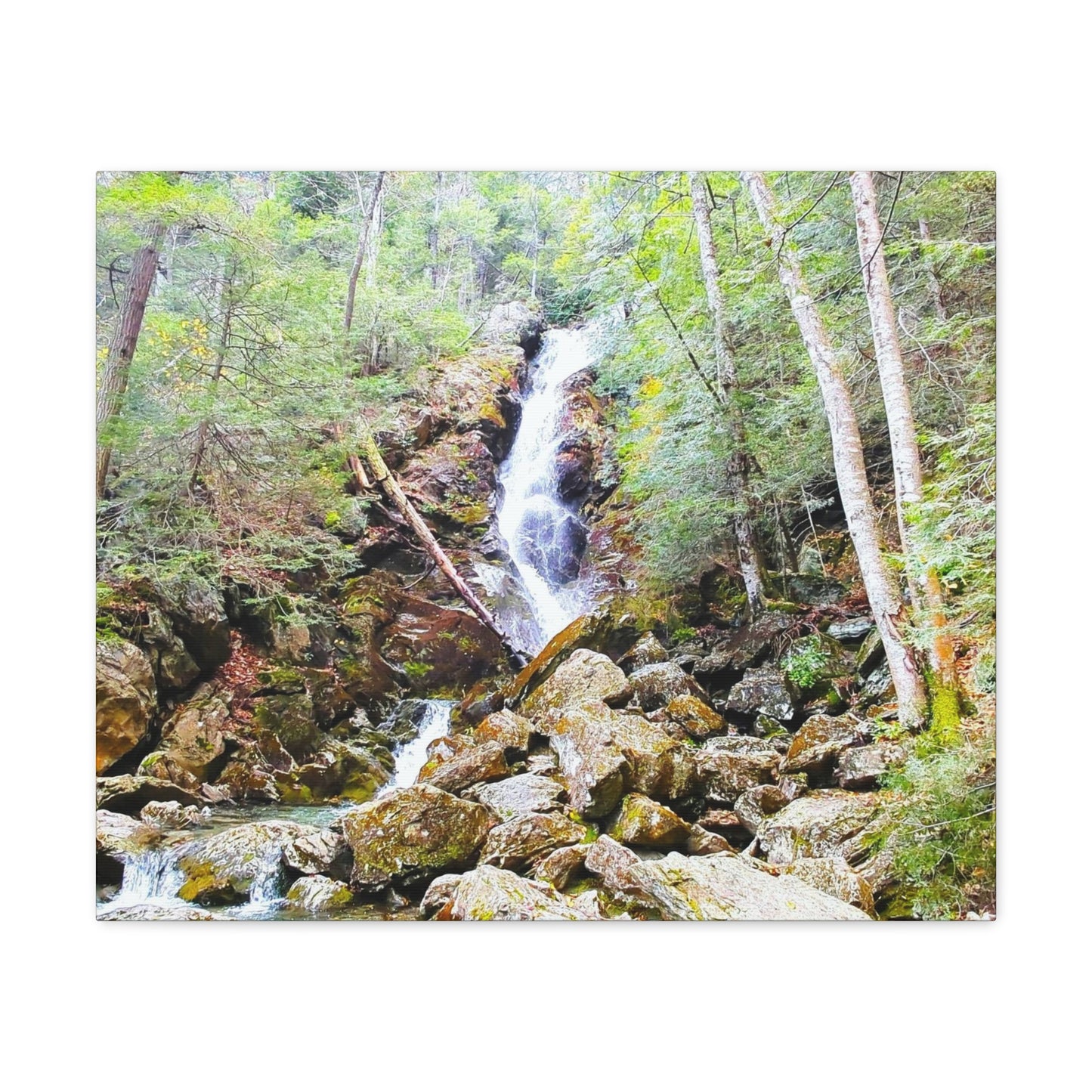 Race Brook Falls Canvas Art Print