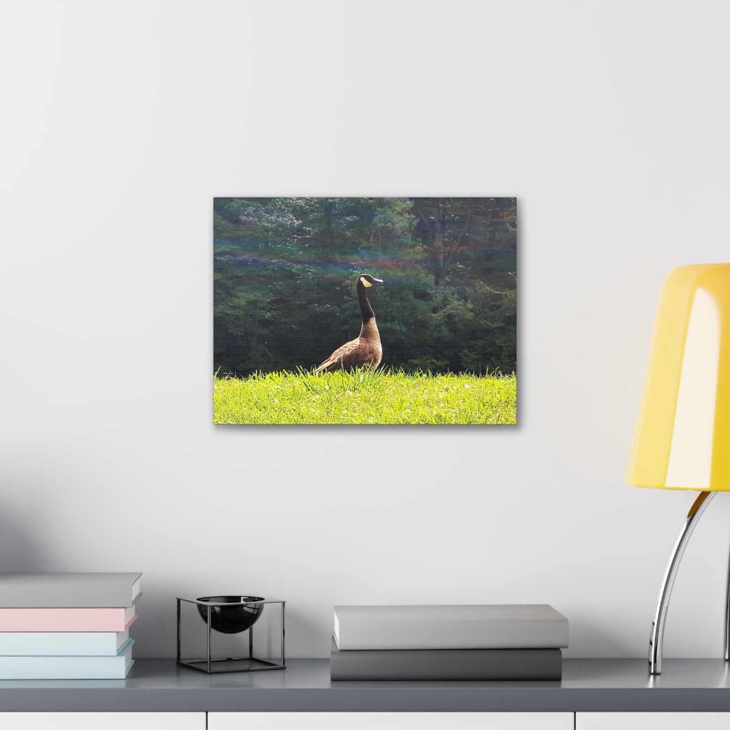 Canadian Goose Canvas Art Print