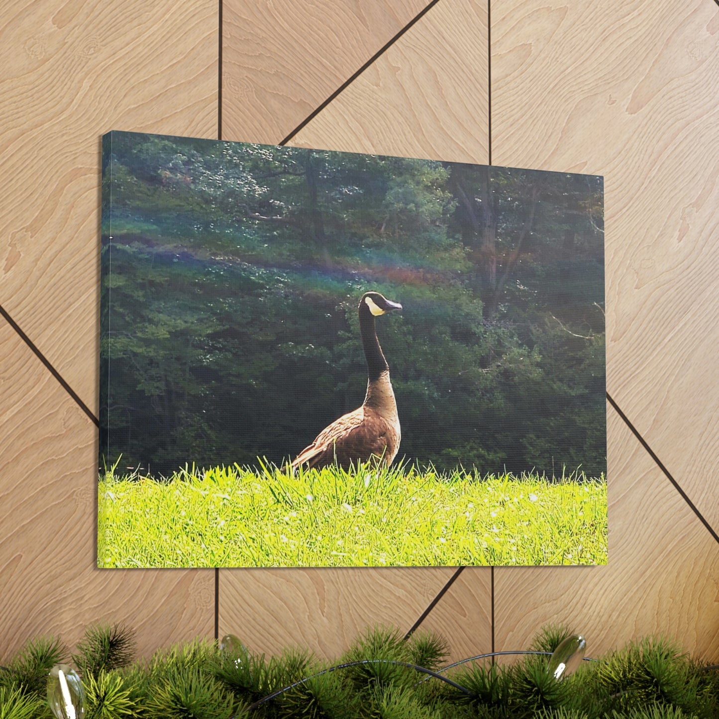 Canadian Goose Canvas Art Print