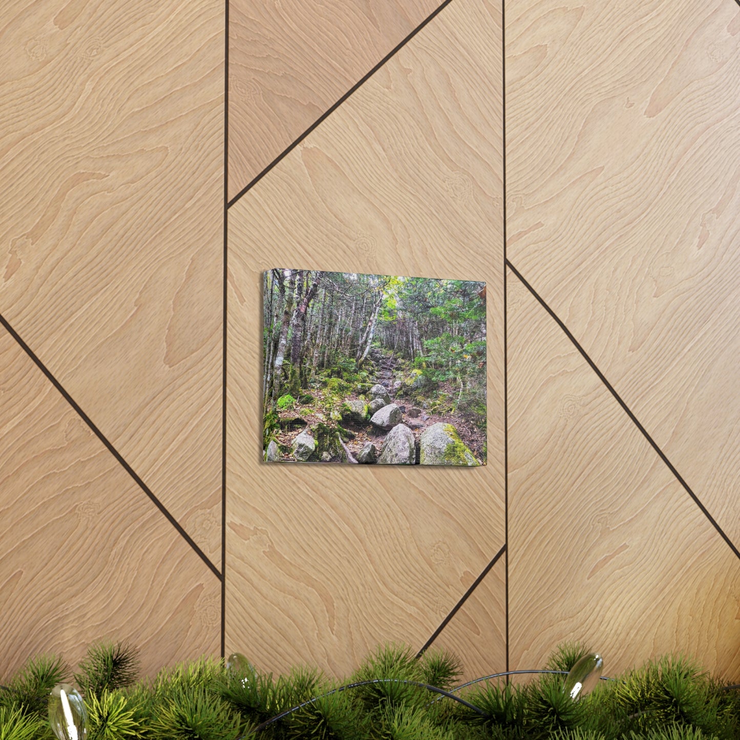 Kinsman Ridge Trail Canvas Art Print