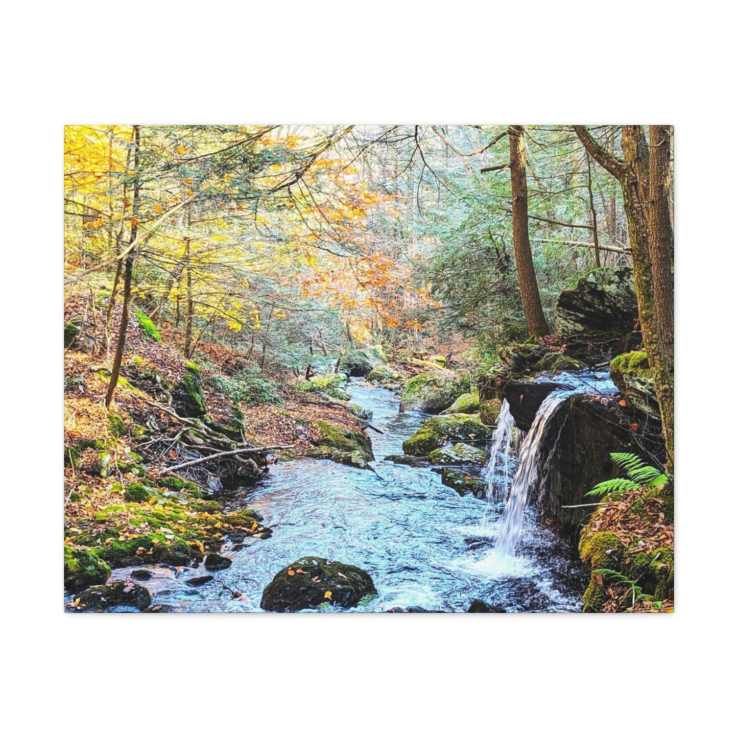 Sage's Ravine Canvas Art Print