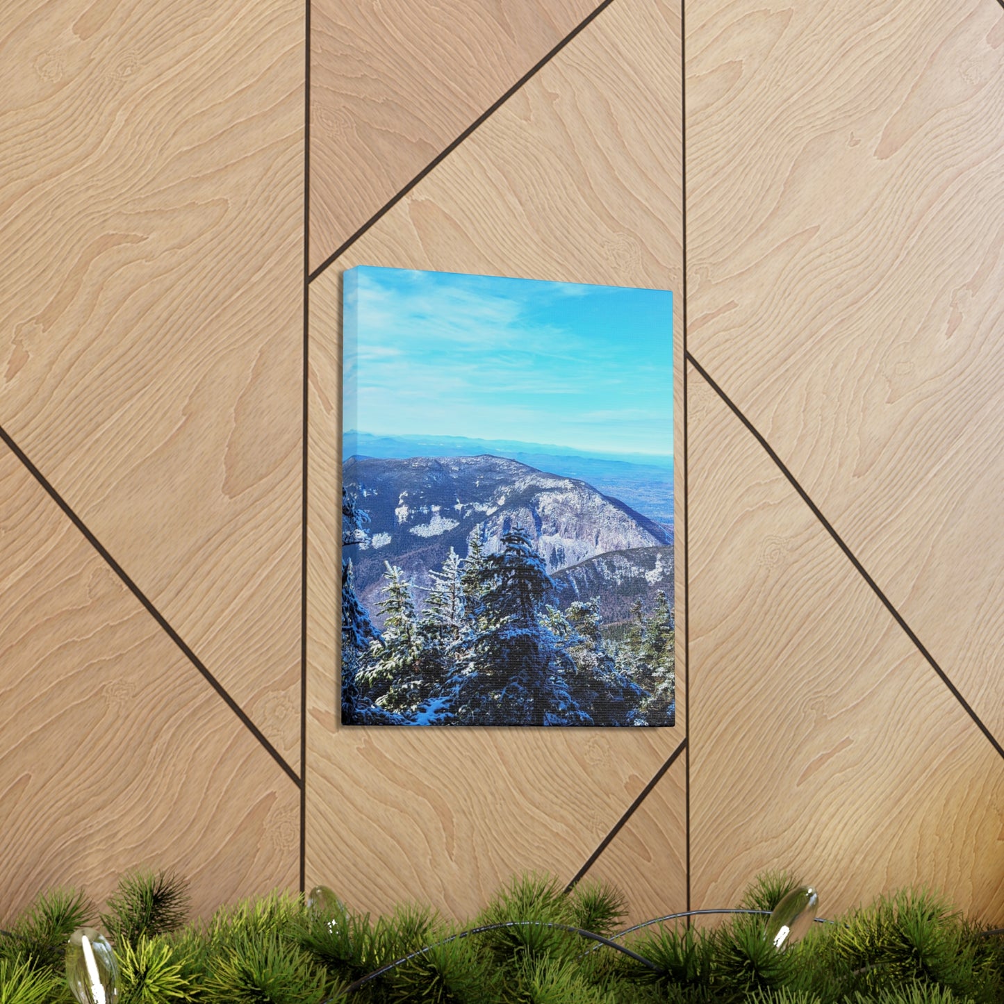 Alpine Zone- Canvas Art Print