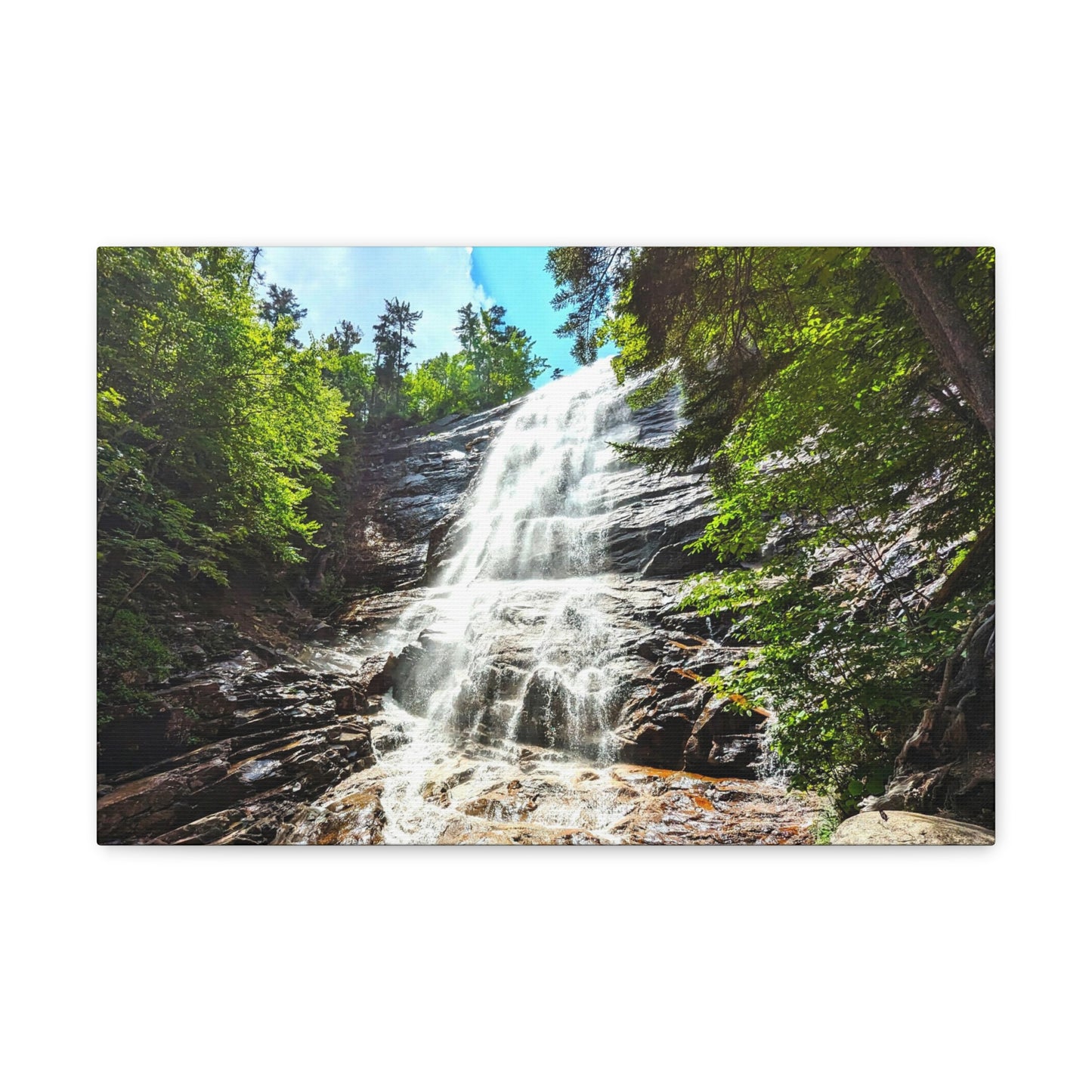 Arethusa Falls Canvas Art Print