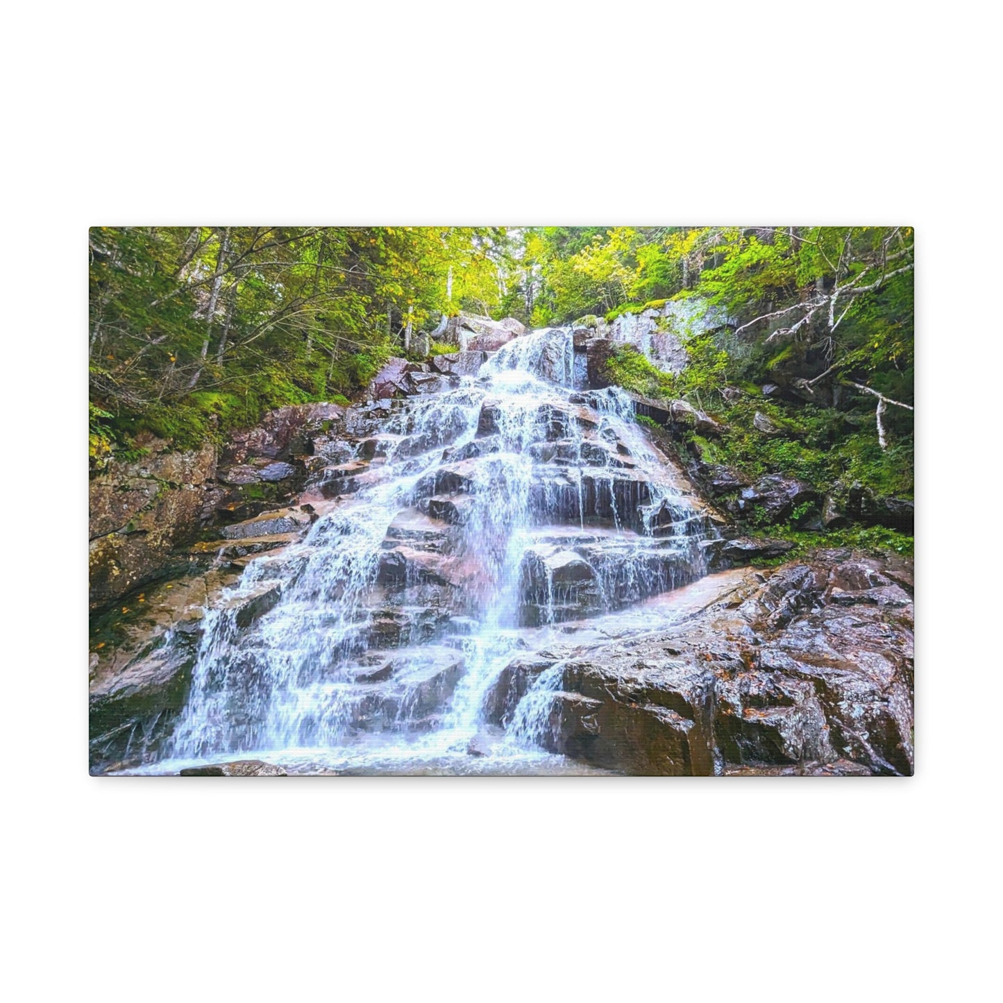 Cloudland Falls Canvas Art Print