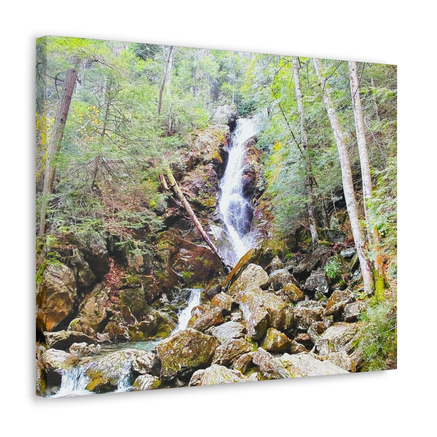 Race Brook Falls Canvas Art Print