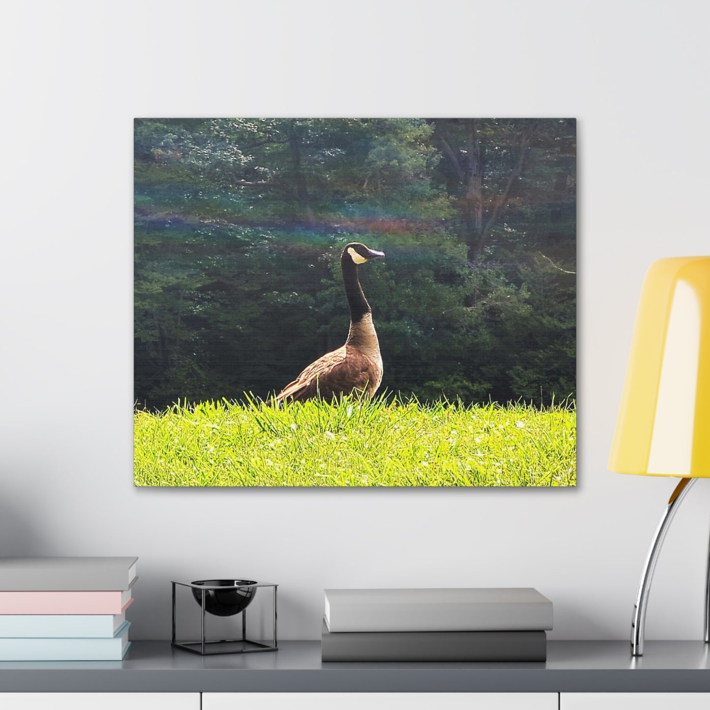 Canadian Goose Canvas Art Print