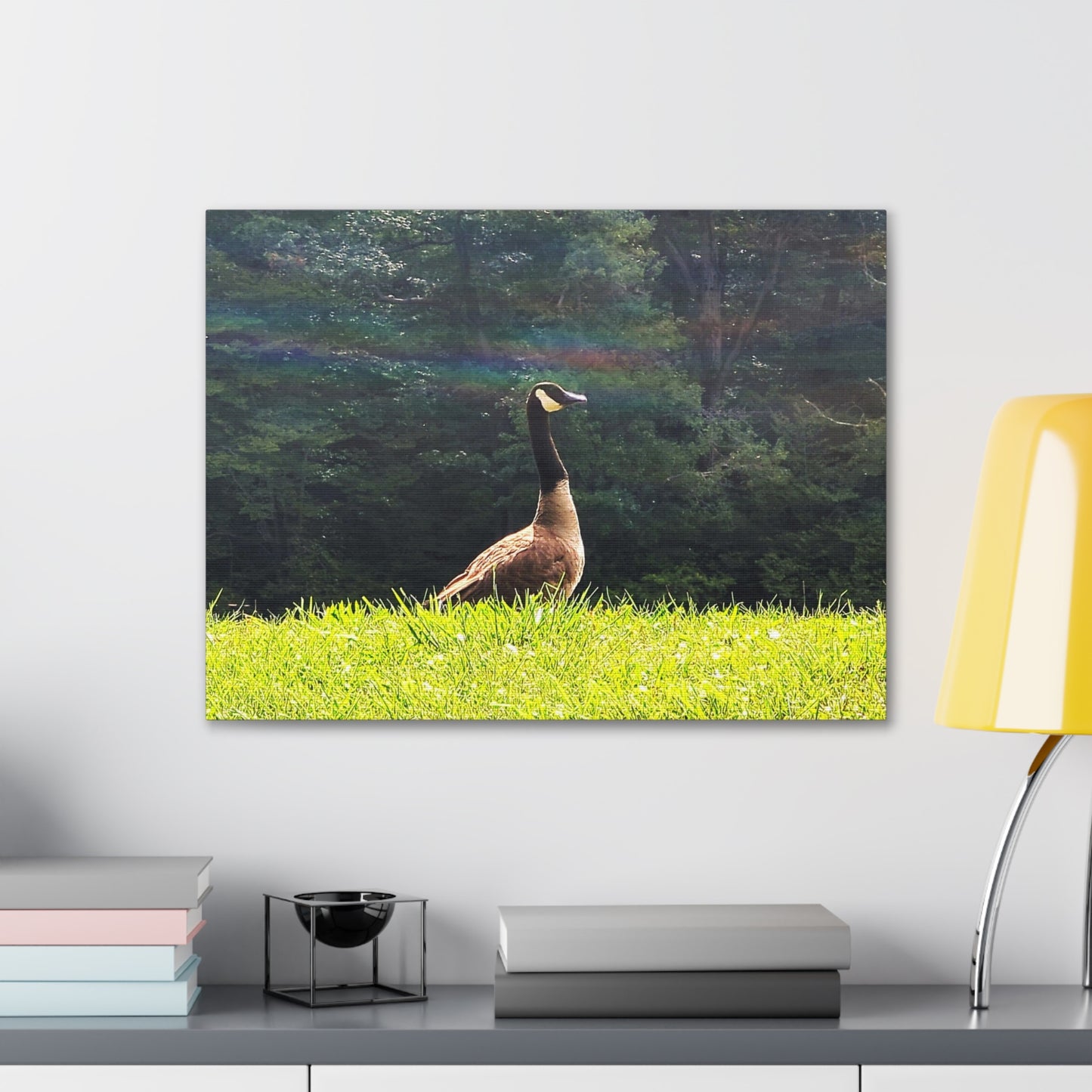 Canadian Goose Canvas Art Print