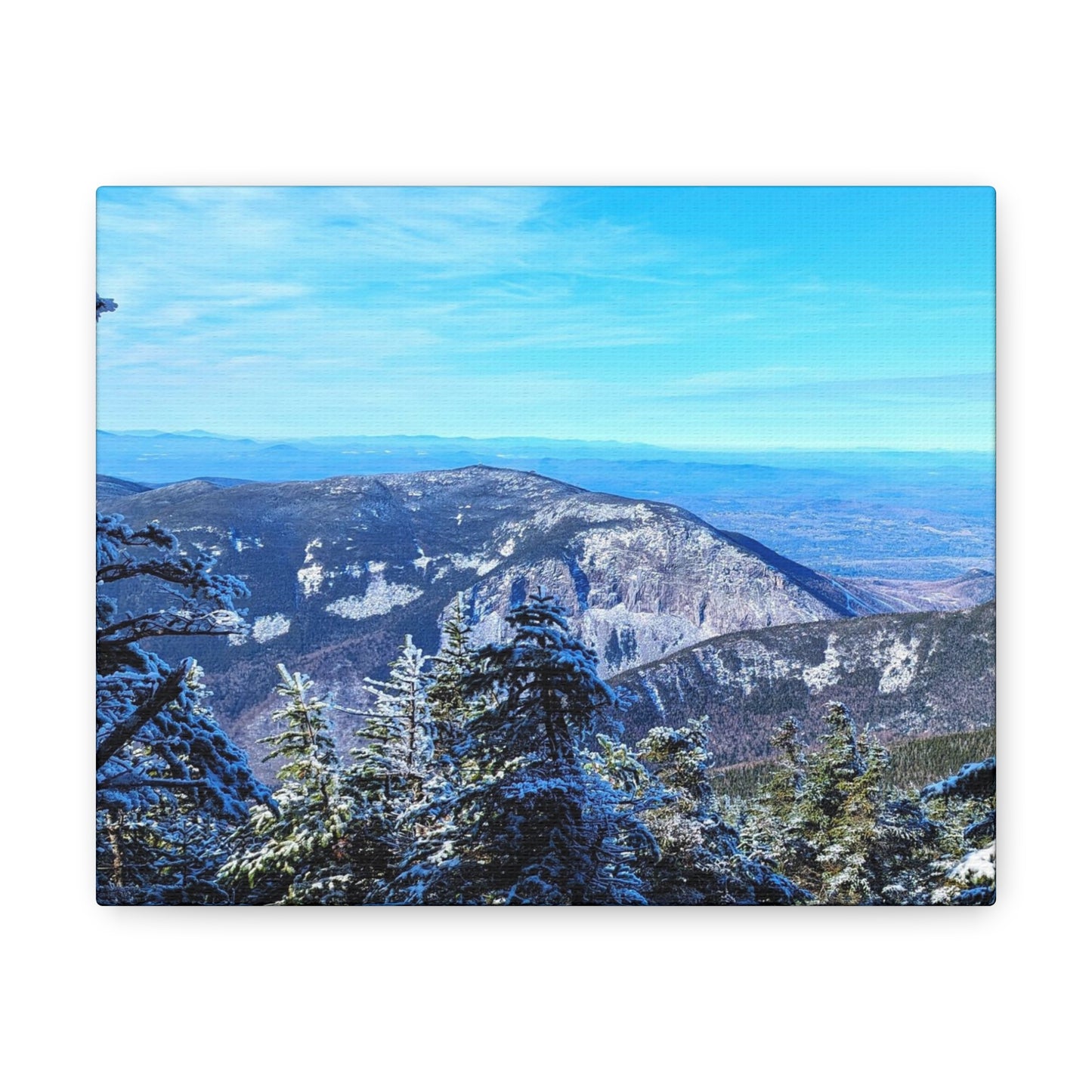 Alpine Zone- Canvas Art Print