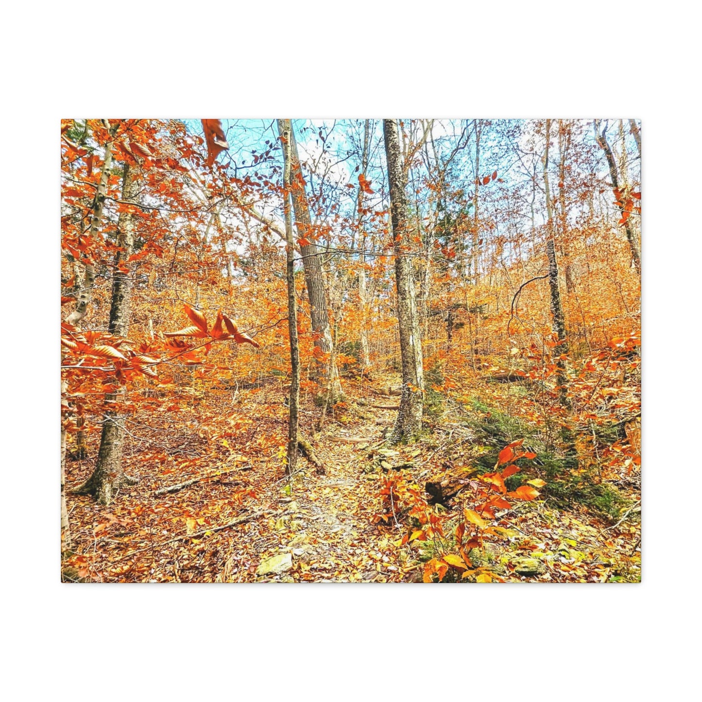 Appalachian Trail Fall Canvas Art Print