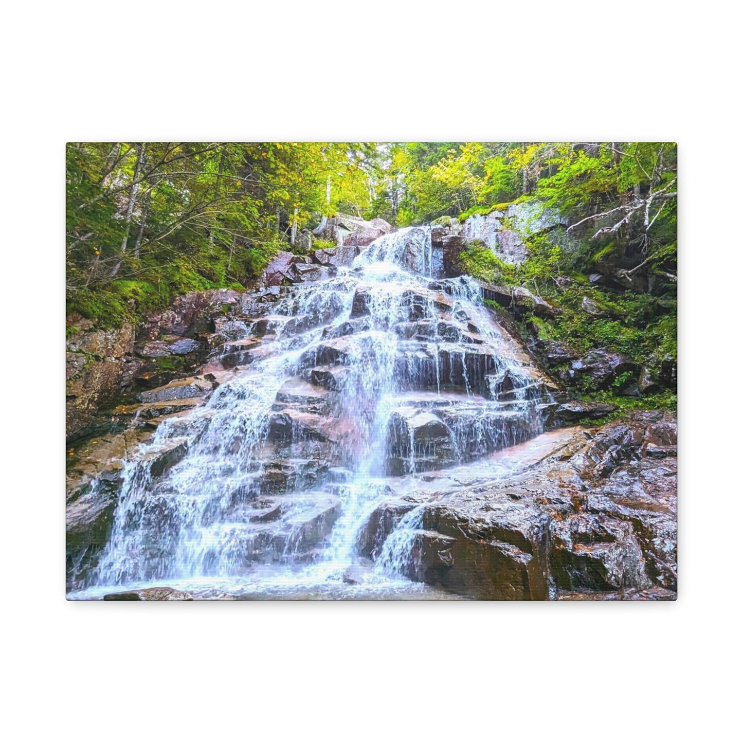 Cloudland Falls Canvas Art Print