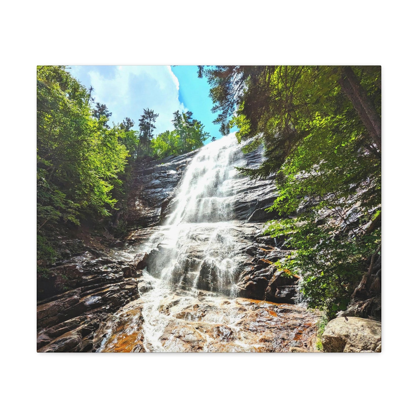 Arethusa Falls Canvas Art Print