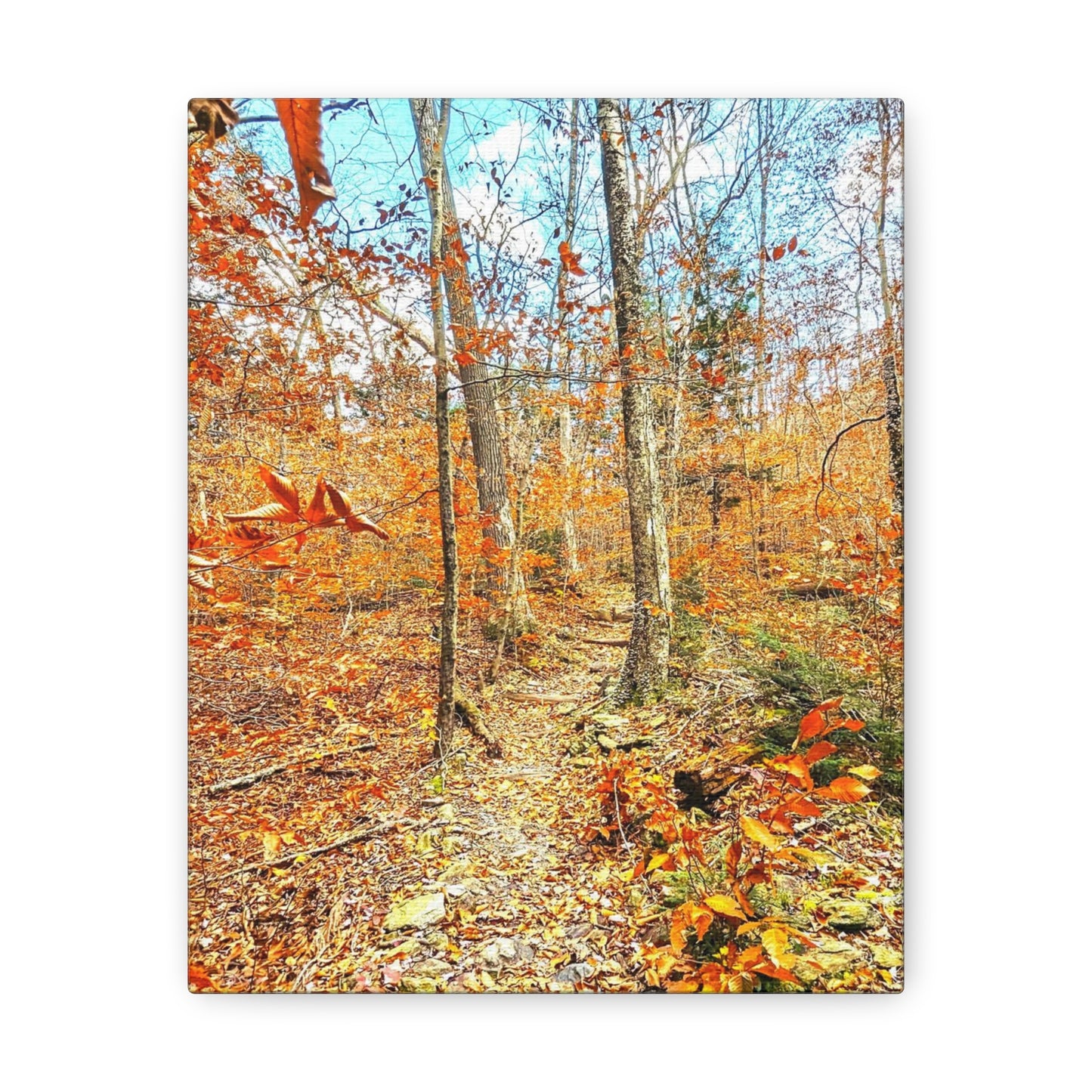 Appalachian Trail Fall Canvas Art Print