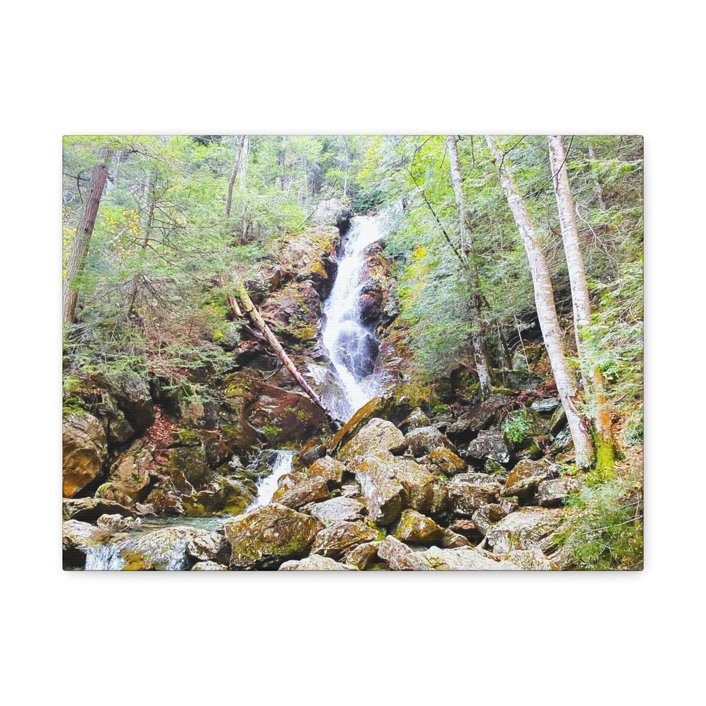 Race Brook Falls Canvas Art Print
