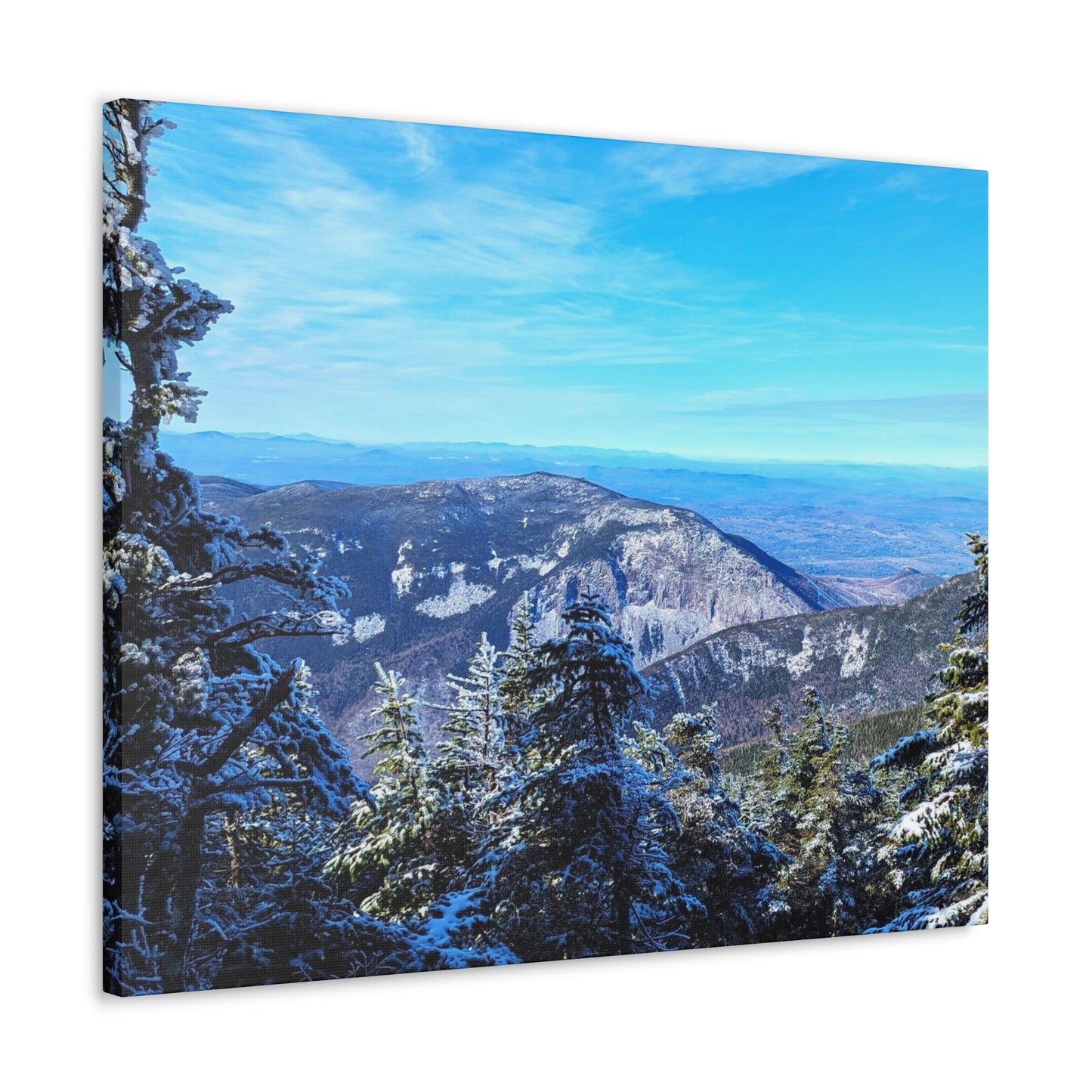 Alpine Zone- Canvas Art Print