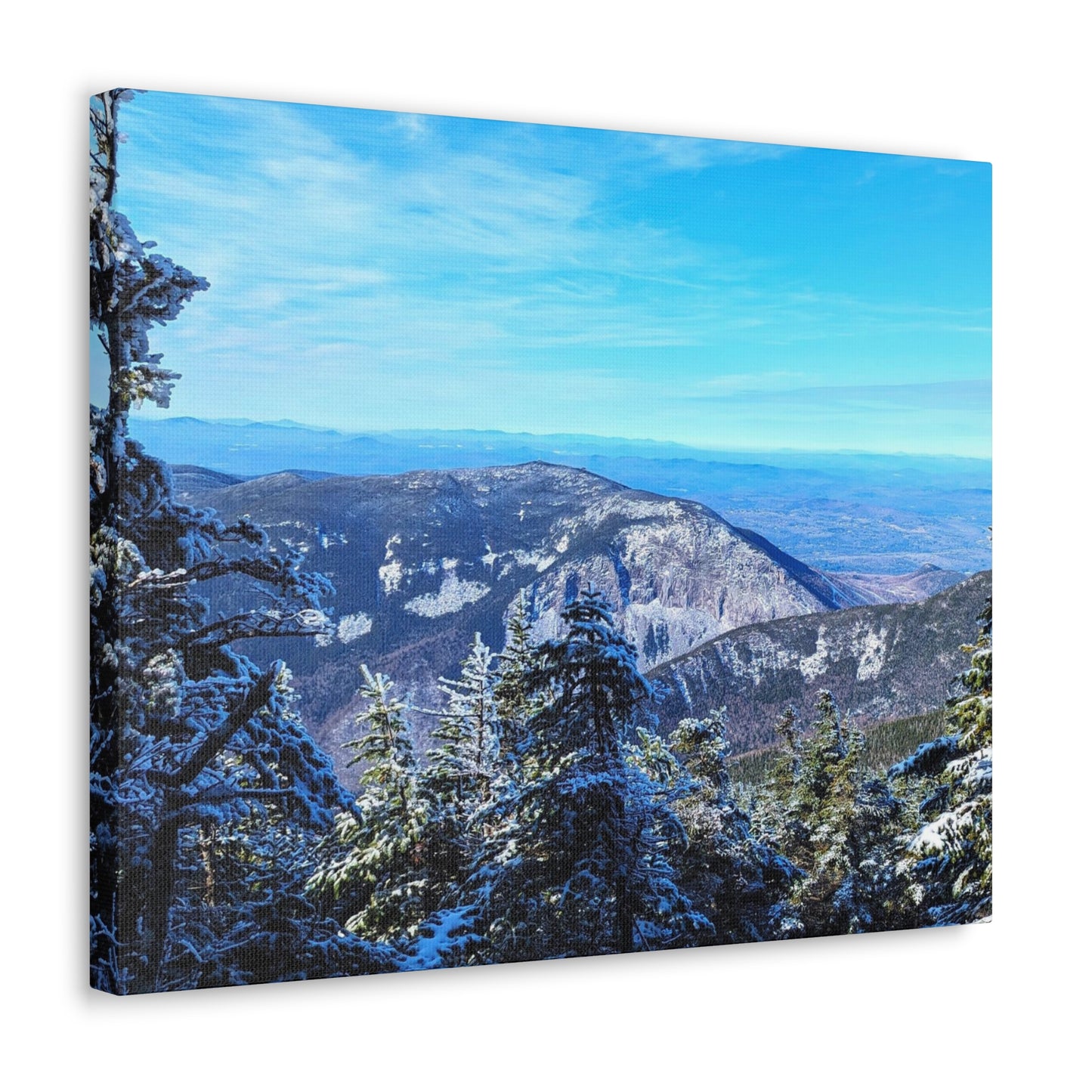 Alpine Zone- Canvas Art Print