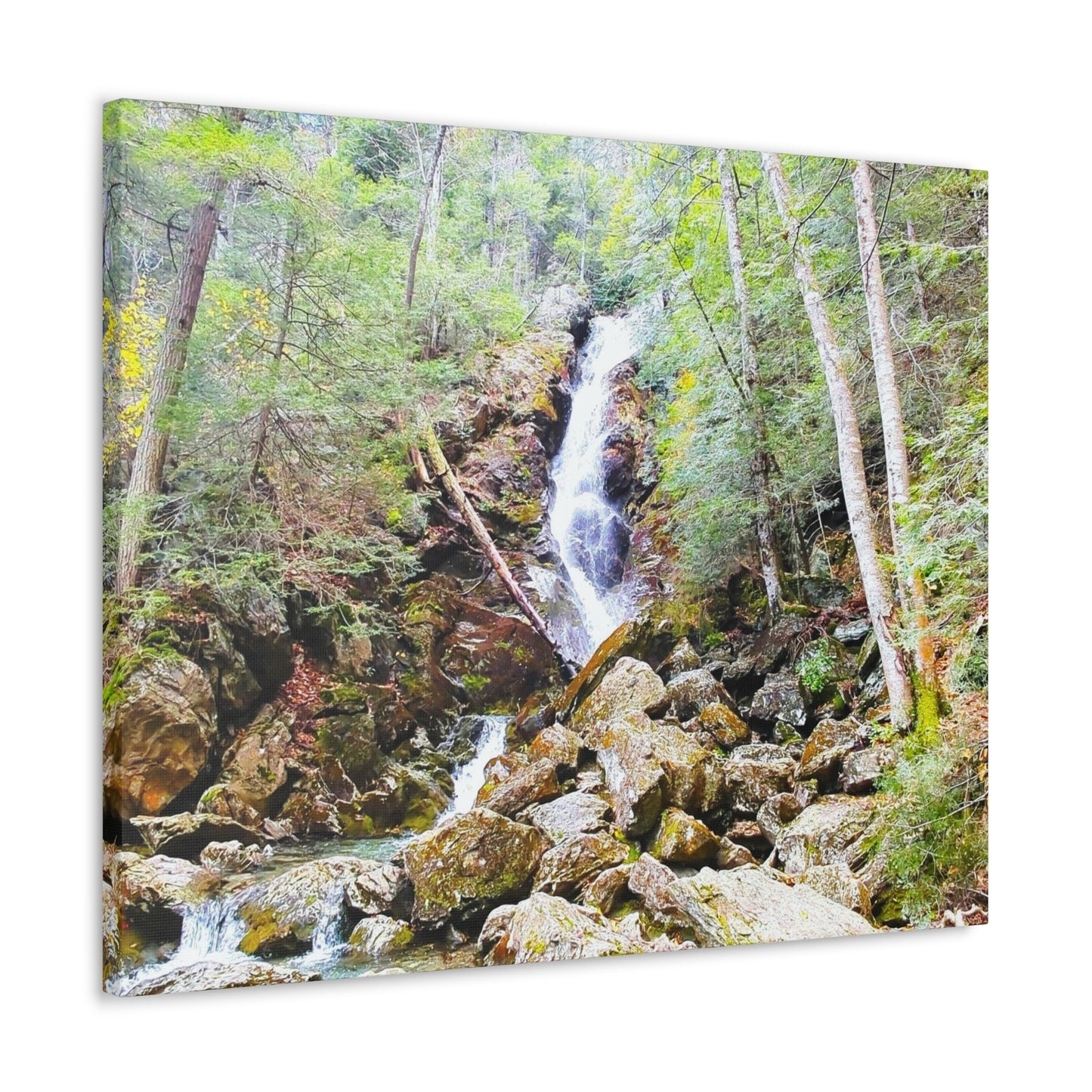 Race Brook Falls Canvas Art Print