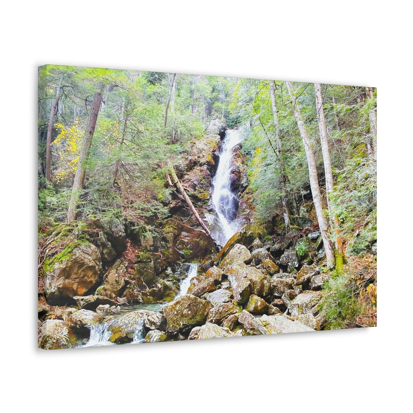 Race Brook Falls Canvas Art Print