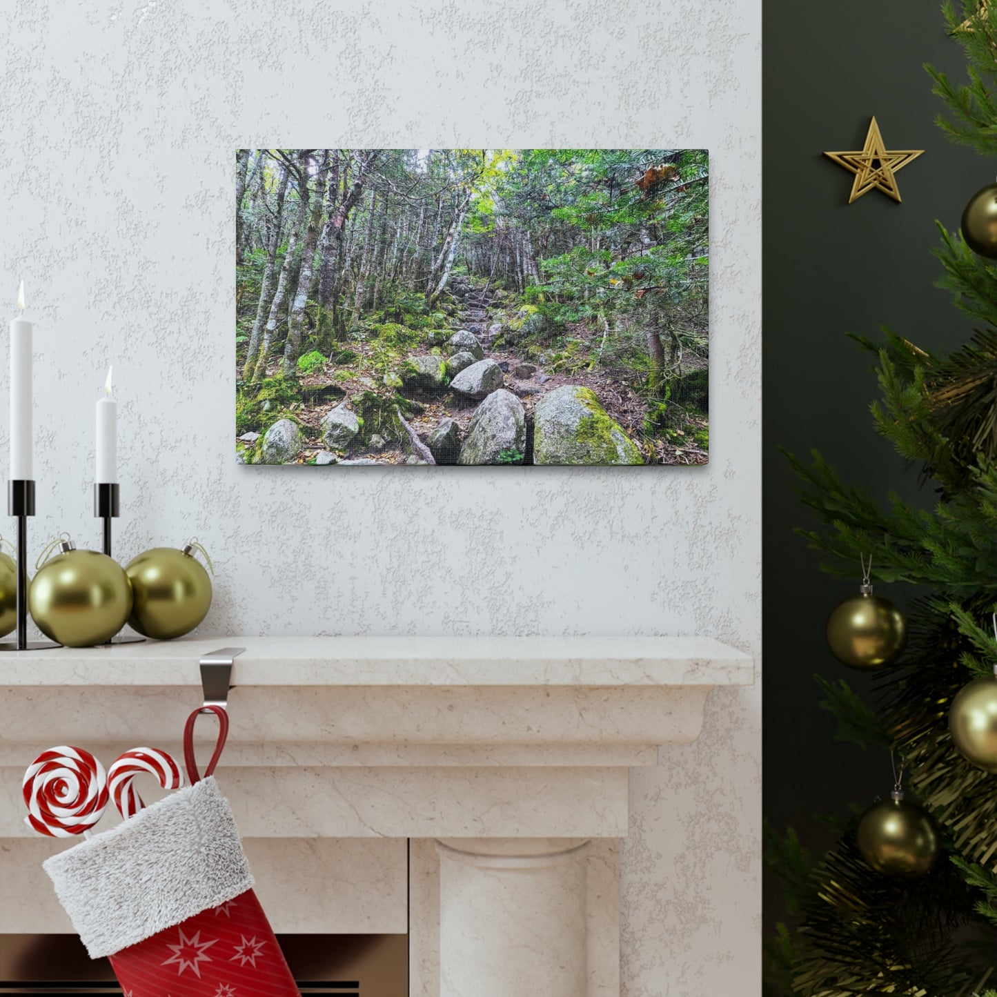 Kinsman Ridge Trail Canvas Art Print