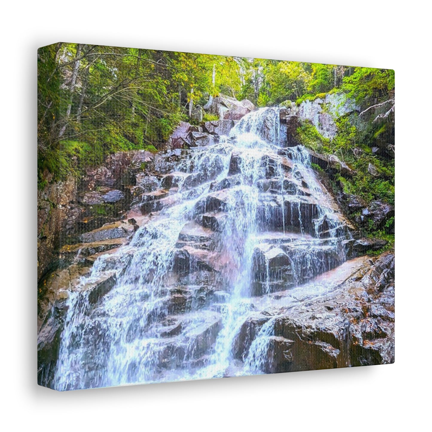 Canvas Artwork Print, Nature Photography