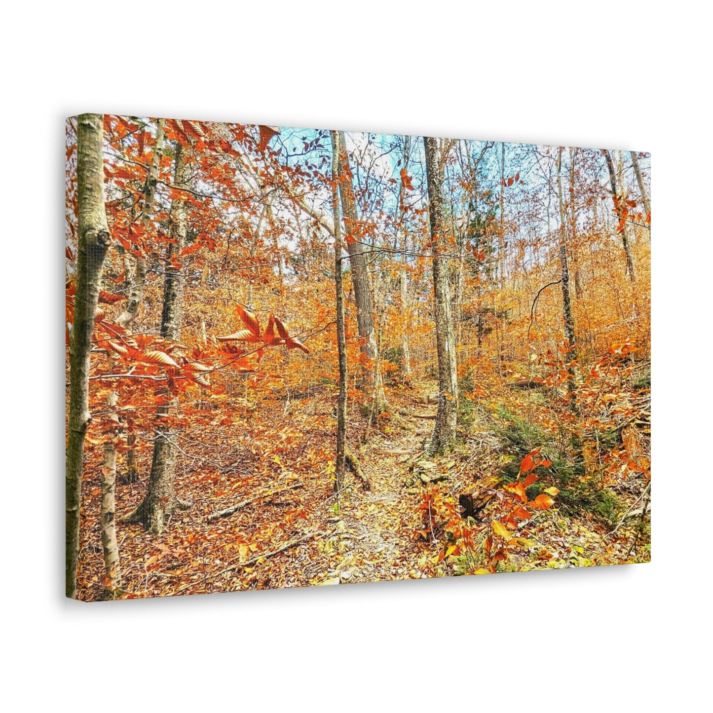 Appalachian Trail Fall Canvas Art Print