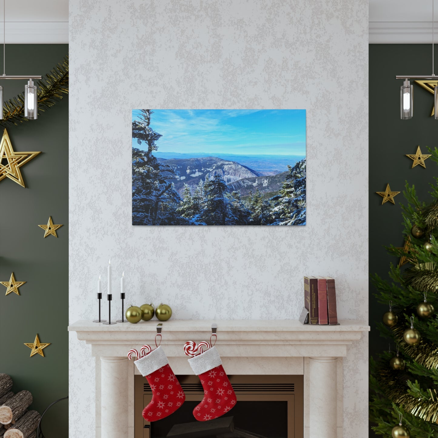 Alpine Zone- Canvas Art Print