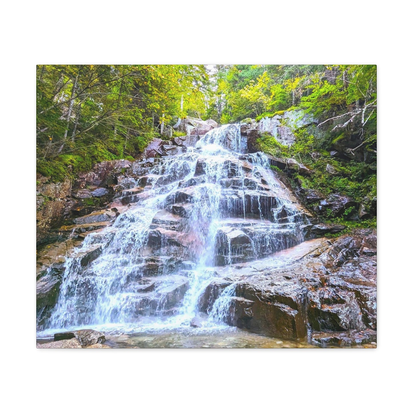 Cloudland Falls Canvas Art Print