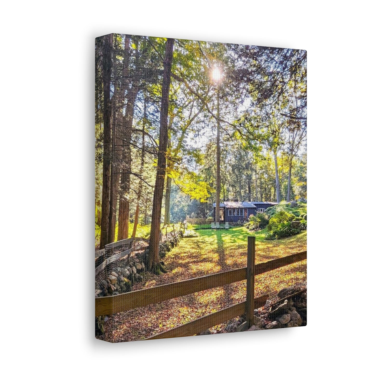 Canvas Artwork Print, Nature Photography
