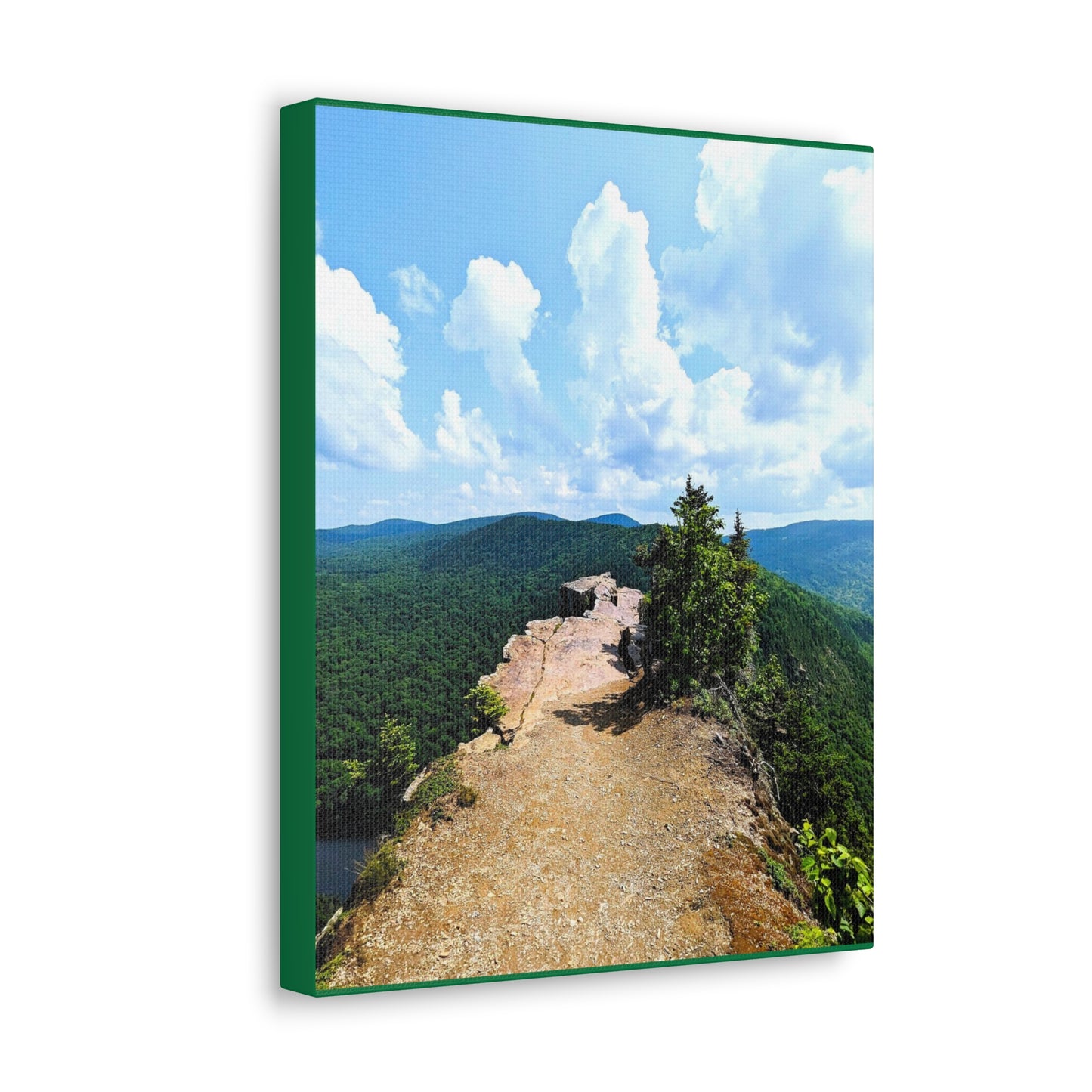 Table Rock Canvas Art Print