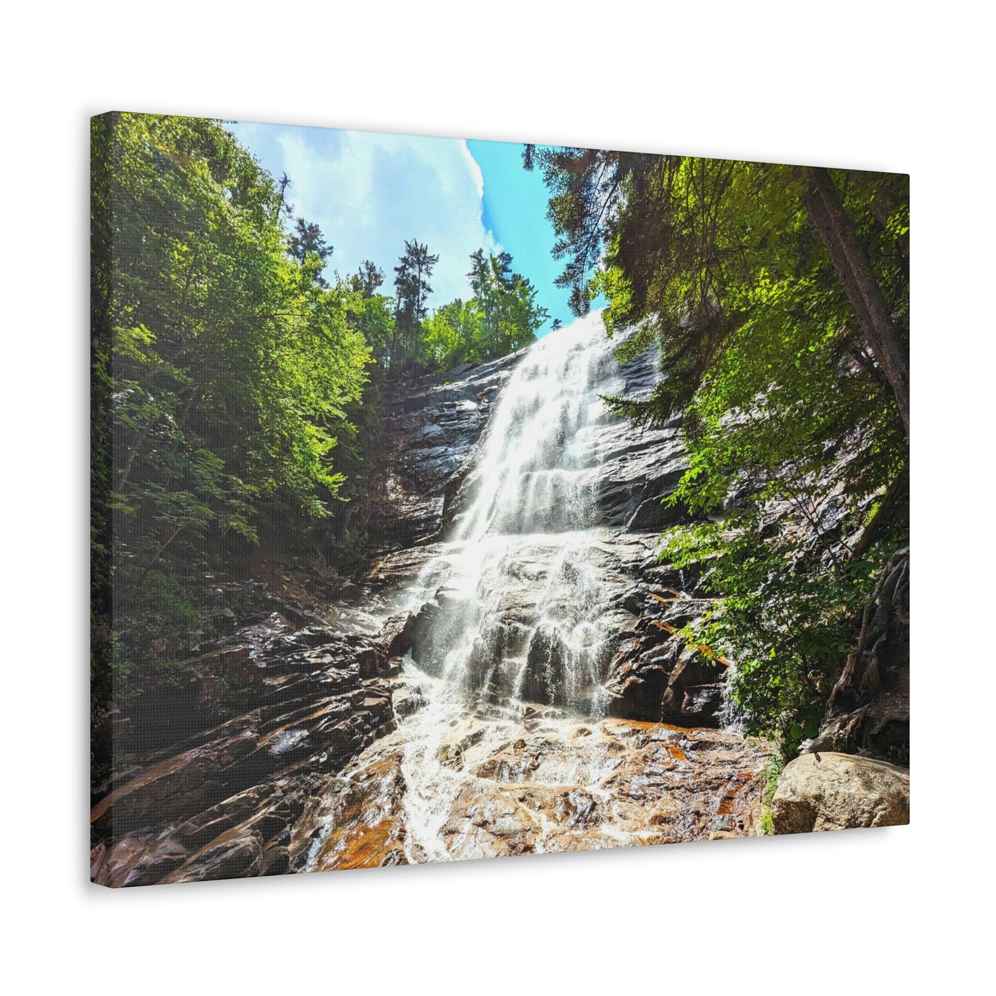 Canvas Artwork Print, Nature Photography