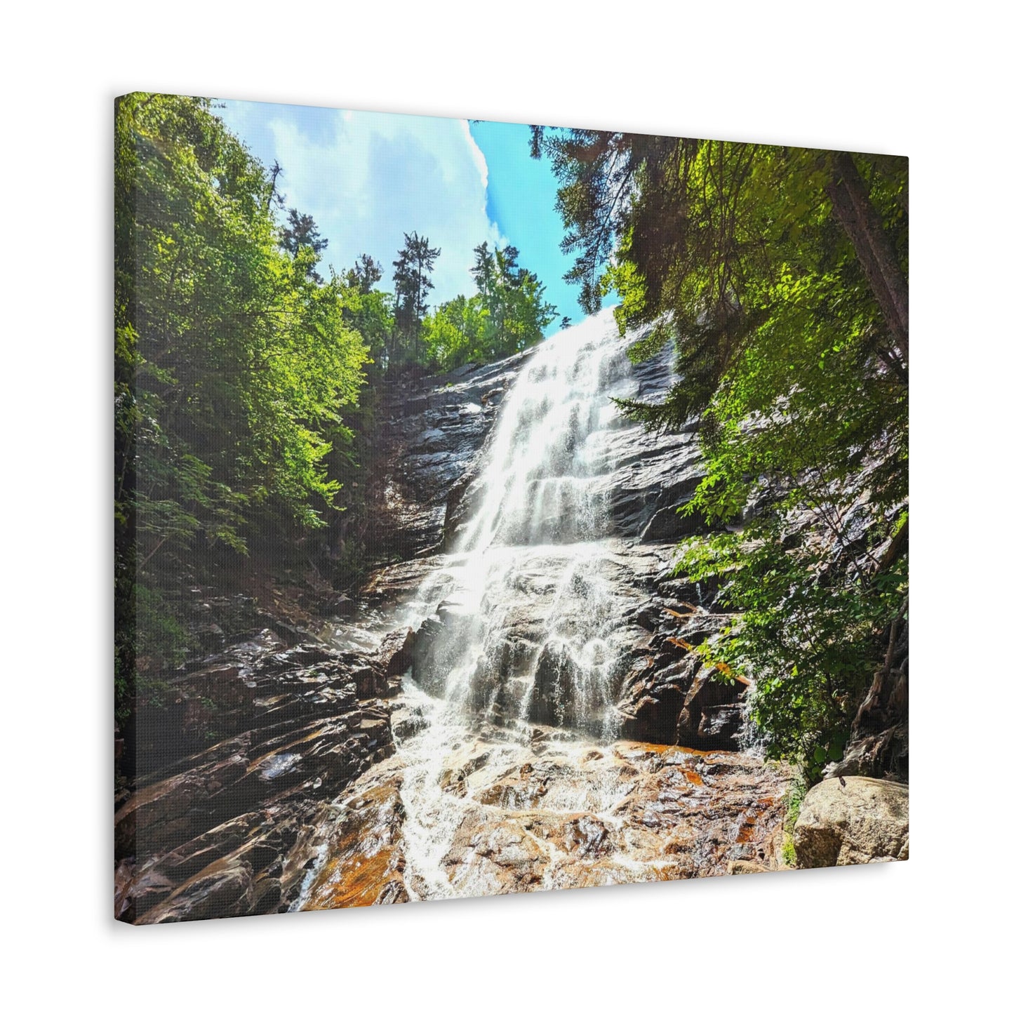 Arethusa Falls Canvas Art Print