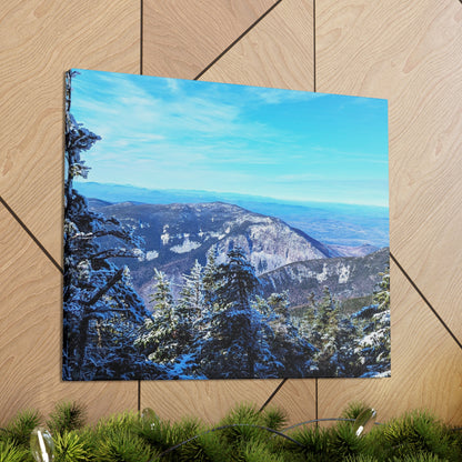 Alpine Zone- Canvas Art Print