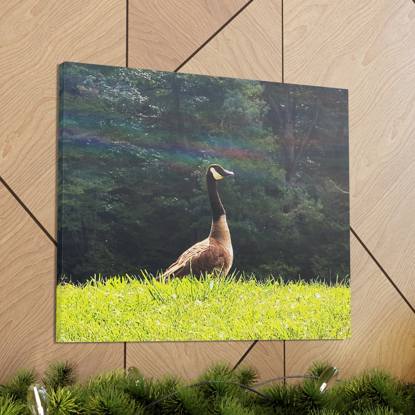 Canadian Goose Canvas Art Print