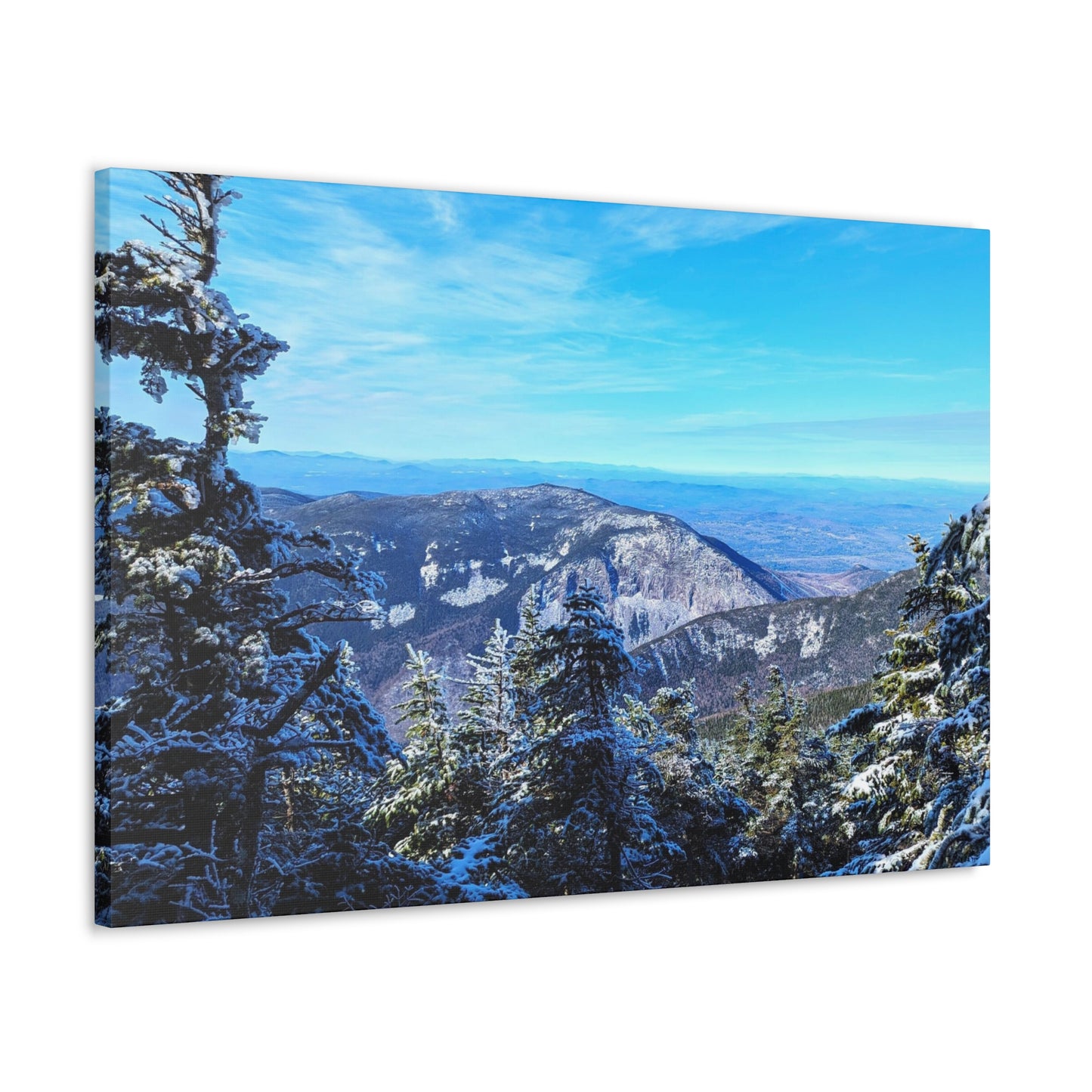 Alpine Zone- Canvas Art Print